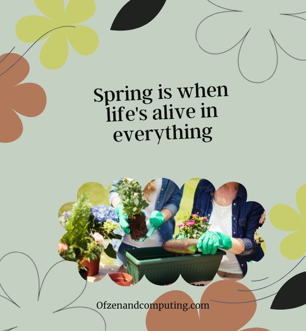 Inspirierende Frühlingsuntertitel für Instagram (2024)
