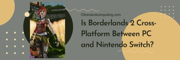 Borderlands 2 é multiplataforma entre PC e Nintendo Switch?