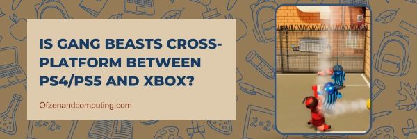 Ist Gang Beasts plattformübergreifend zwischen PS4/PS5 und Xbox?