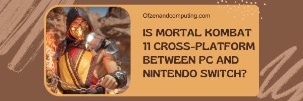 Onko Mortal Kombat 11 cross-platform PC:n ja Nintendo Switchin välillä?