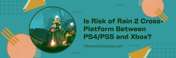 Is Risk of Rain 2 platformonafhankelijk tussen PS4/PS5 en Xbox?
