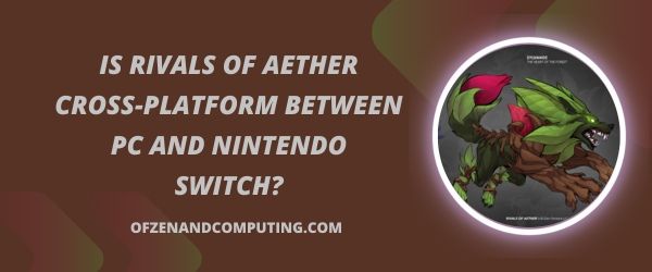 Rivals Of Aether est-il multiplateforme entre PC et Nintendo Switch ?