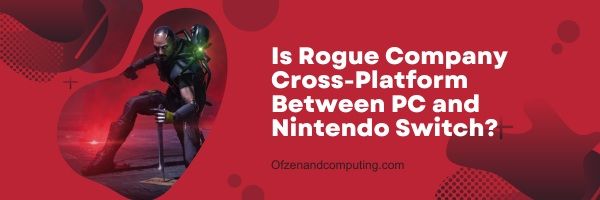 A Rogue Company é uma plataforma cruzada entre PC e Nintendo Switch