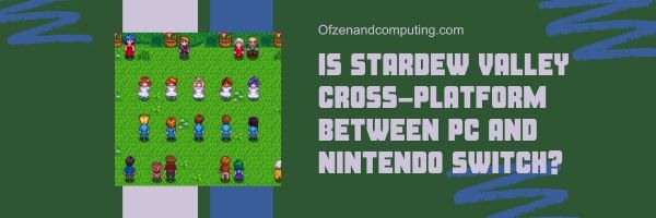 Onko Stardew Valley Cross-Platform PC:n ja Nintendo Switchin välillä?