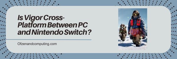 Onko Vigor Cross-Platform PC:n ja Nintendo Switchin välillä?