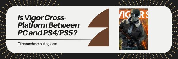 هل Vigor Cross-Platform بين الكمبيوتر الشخصي و PS4 / PS5؟
