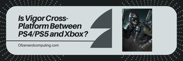 Vigor Platformlar Arası PS4/PS5 ve Xbox Arasında mı?