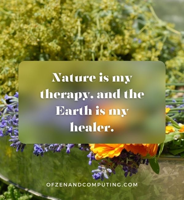 Nature Healing -tekstit Instagramiin (2024)