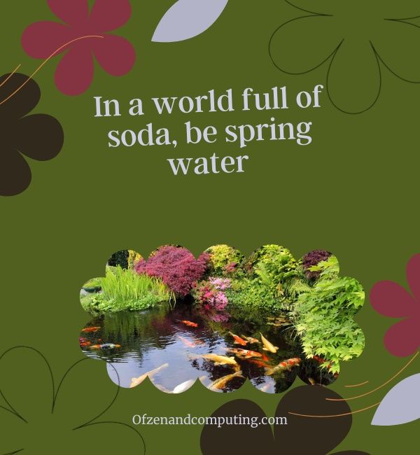 Spring Water -tekstit Instagramiin (2024)