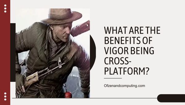 ประโยชน์ของ Vigor เป็น Cross-Platform คืออะไร?