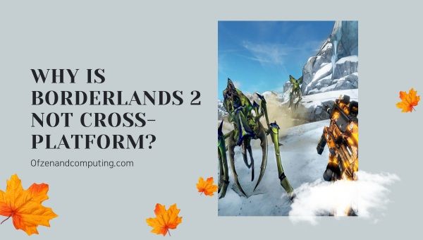 Miksi Borderlands 2 ei ole cross-platform?