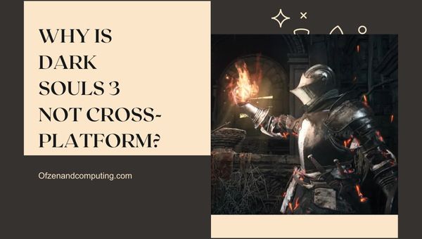 Why is Dark Souls 3 Not Cross-Platform? 