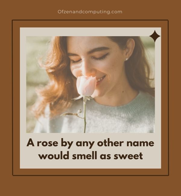 Légendes de roses esthétiques pour Instagram (2023)