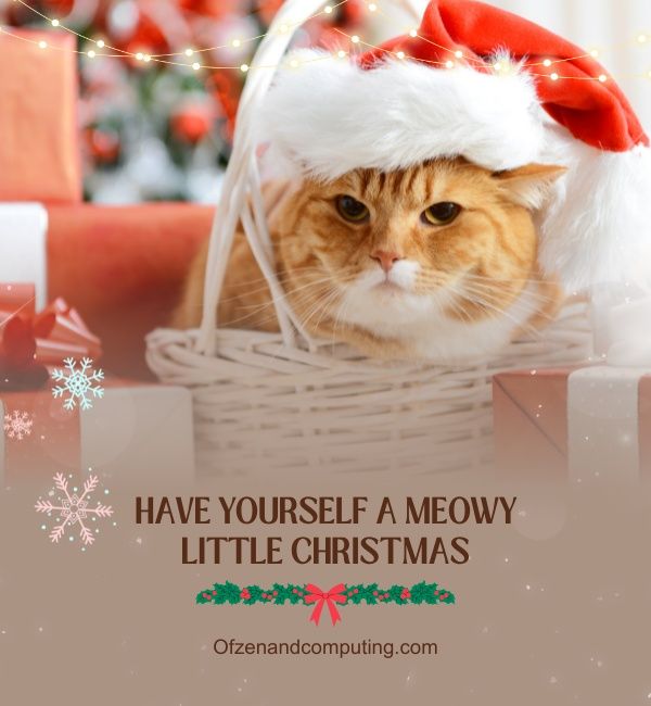 Sottotitoli natalizi con gatti per Instagram (2024)