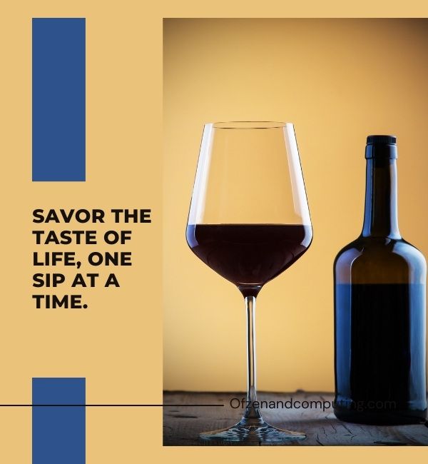 Stilvolle Weinuntertitel für Instagram (2024)