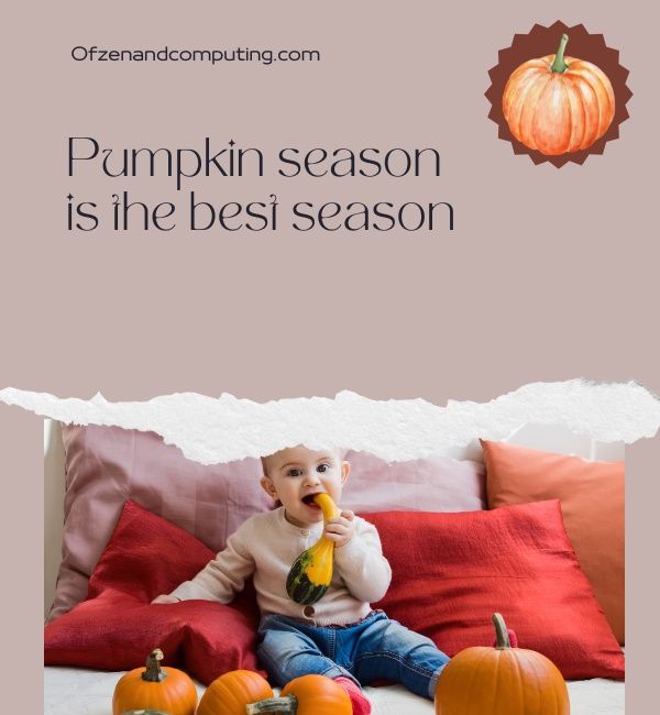 Cute Pumpkin Patch Captions For Instagram (2023)