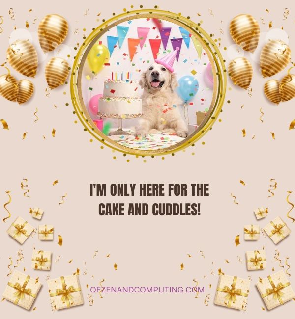 Hondenverjaardagsbijschriften voor Instagram