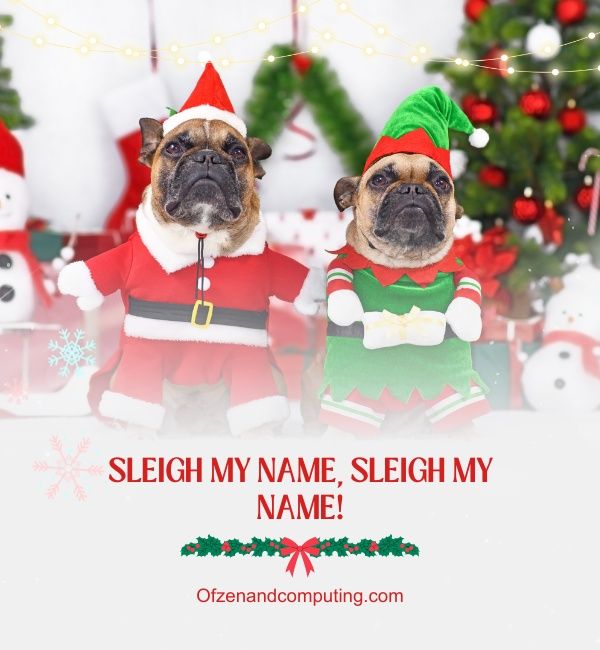 Légendes de Noël pour chiens pour Instagram (2024)