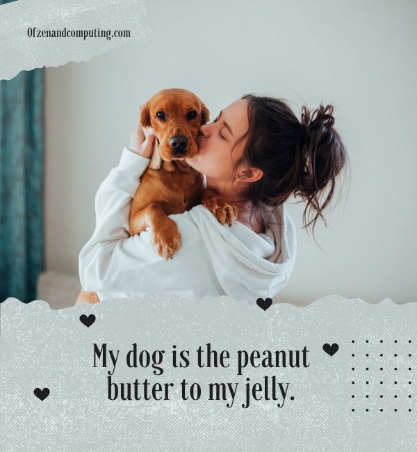 Caption Cinta Anjing Untuk Instagram (2023)