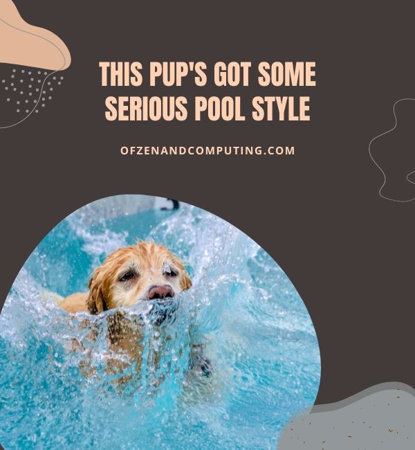 Subtítulos de la piscina de perros para Instagram (2023)
