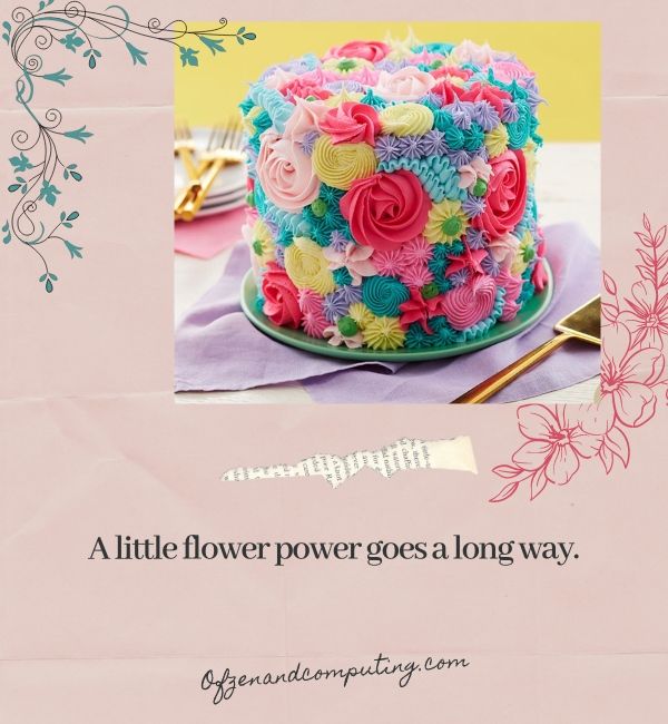 Blumenkuchen-Untertitel für Instagram (2024)