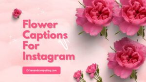 Blumenuntertitel für Instagram ([cy]) Süß, lustig, gut
