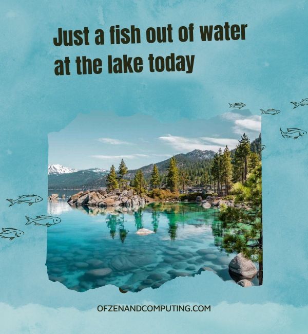 Didascalie divertenti sul lago per Instagram (2024)