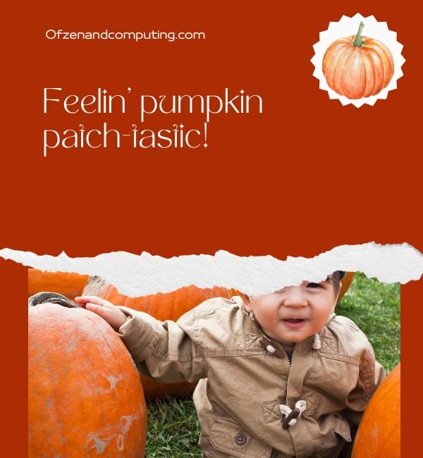 Funny Pumpkin Patch Captions For Instagram (2023)