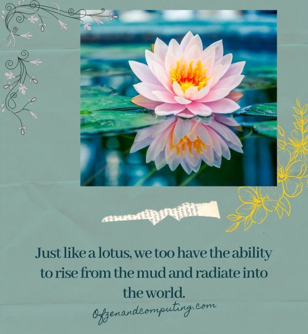 Lotusblumen-Untertitel für Instagram (2024)