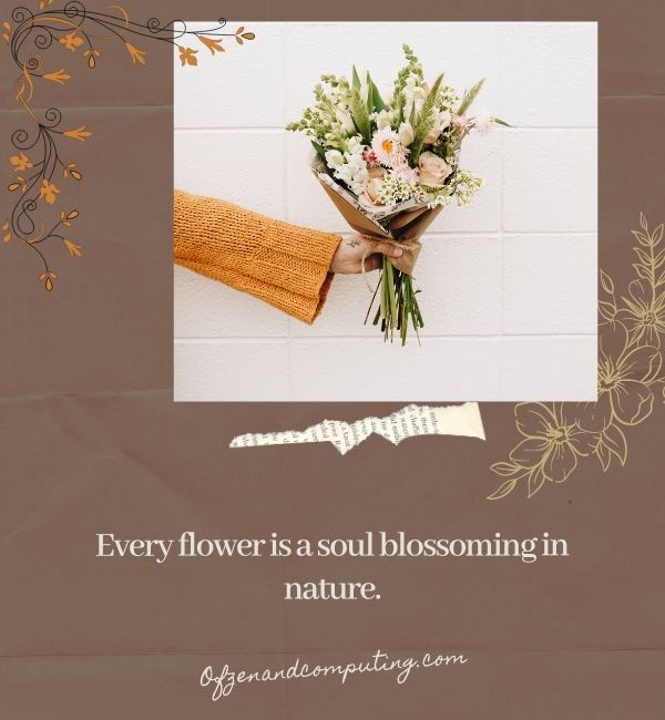 Aussagekräftige einfache Blumenuntertitel für Instagram (2024)
