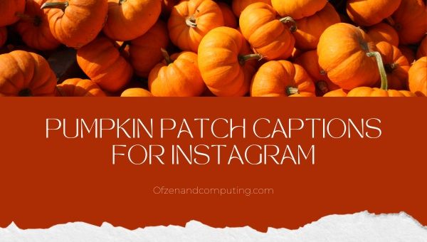 Didascalie di Pumpkin Patch per Instagram ([cy]) Carino, divertente