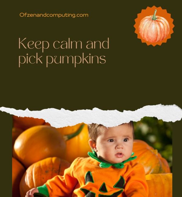 Subtítulos de Instagram de Pumpkin Patch para bebés y niños (2023)