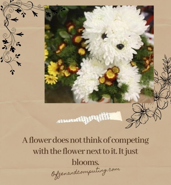 Subtítulos de flores ingeniosos para Instagram (2024)