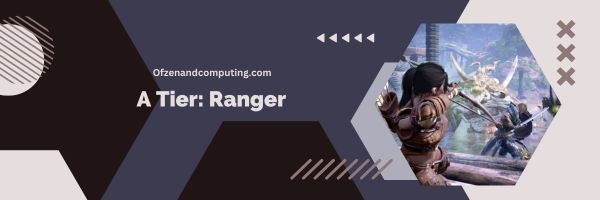 Un Ranger de niveau