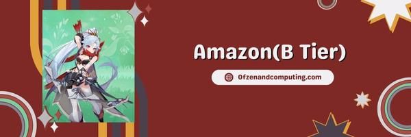 Amazon (B Katmanı)