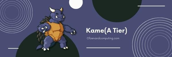 Kame (A-niveau)