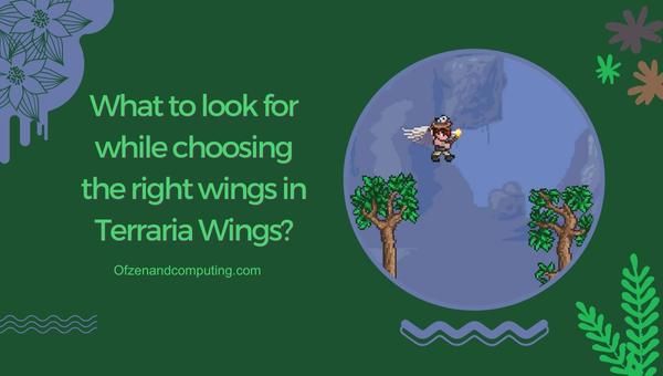 Worauf ist bei der Auswahl der richtigen Flügel in Terraria Wings zu achten?