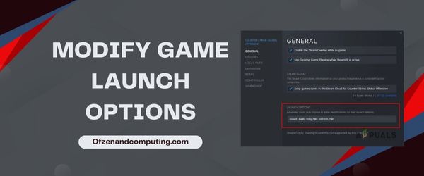 Modify Game Launch Options - Fix Steam Error Code 51