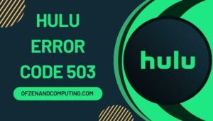 แก้ไขรหัสข้อผิดพลาด Hulu 503 ใน [cy]
