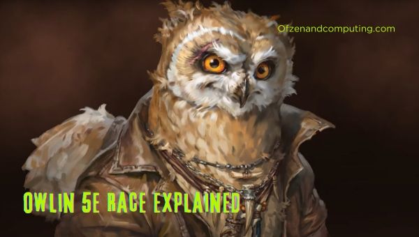 Owlin 5E Rennen